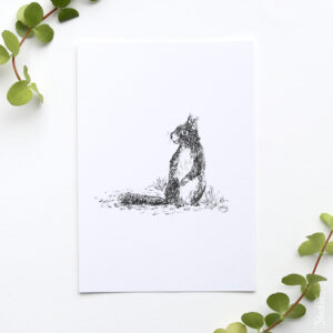 Kaart pentekening eekhoorn
