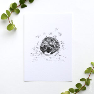 Kaart pentekening egel