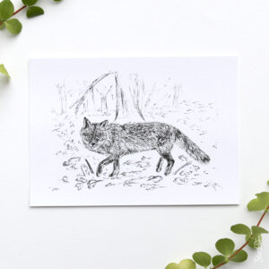 Kaart pentekening vos