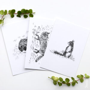 Kaartenset bosdieren