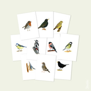 Kaartenset Tien Tuinvogels