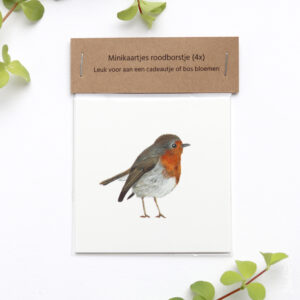 Set cadeaukaartjes roodborstje (4x)