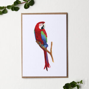 Kaart papegaai